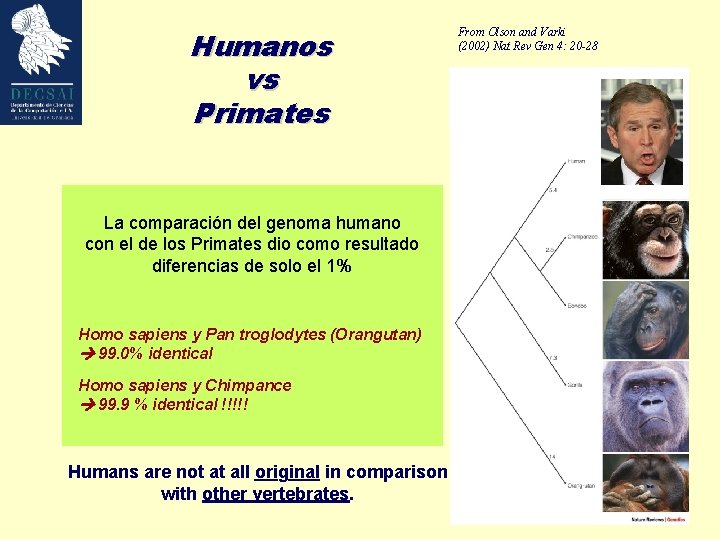 Humanos vs Primates La comparación del genoma humano con el de los Primates dio