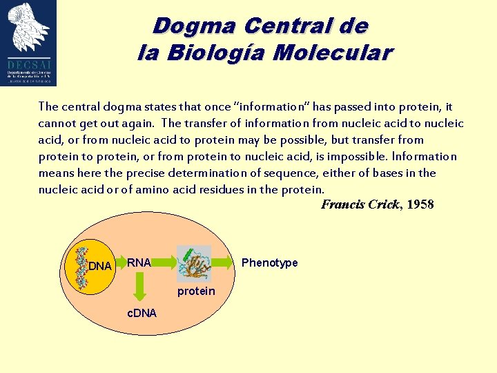 Dogma Central de la Biología Molecular The central dogma states that once “information” has