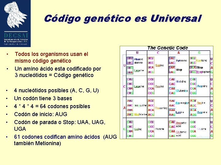 Código genético es Universal • • Todos los organismos usan el mismo código genético