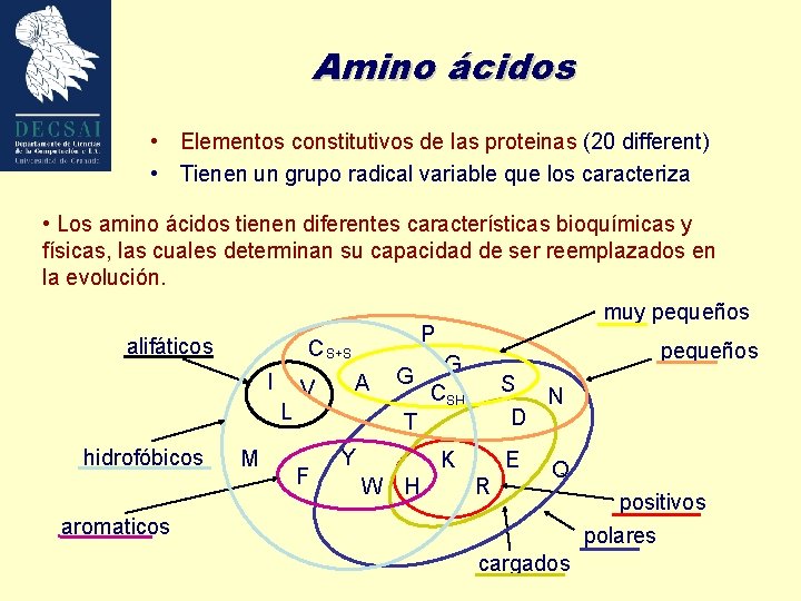 Amino ácidos • Elementos constitutivos de las proteinas (20 different) • Tienen un grupo
