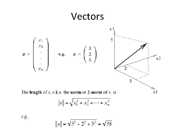 Vectors 