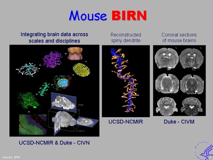 Mouse BIRN Integrating brain data across scales and disciplines Reconstructed spiny dendrite Coronal sections