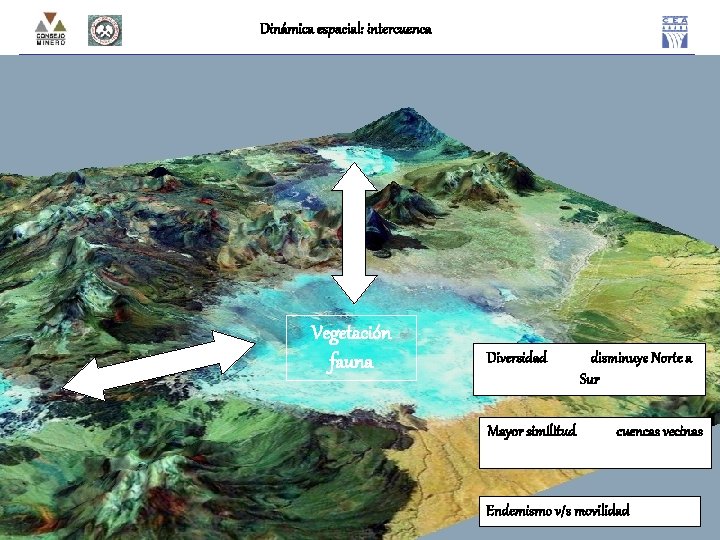 Dinámica espacial: intercuenca Vegetación fauna Diversidad Mayor similitud disminuye Norte a Sur cuencas vecinas