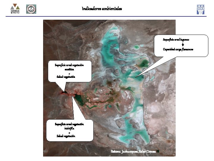 Indicadores ambientales Superficie areal lagunas Capacidad carga flamencos Superficie areal vegetación acuática + Salud
