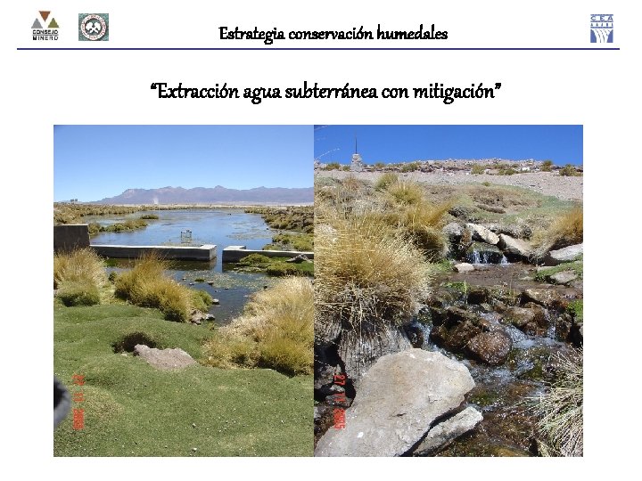 Estrategia conservación humedales “Extracción agua subterránea con mitigación” 60 L/s 