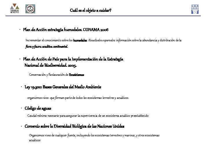 Cuál es el objeto a cuidar? • Plan de Acción estrategia humedales. CONAMA 2006