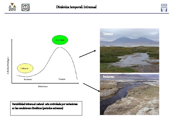 Dinámica temporal: intranual Verano Invierno Variabilidad intranual natural esta controlada por variaciones en las