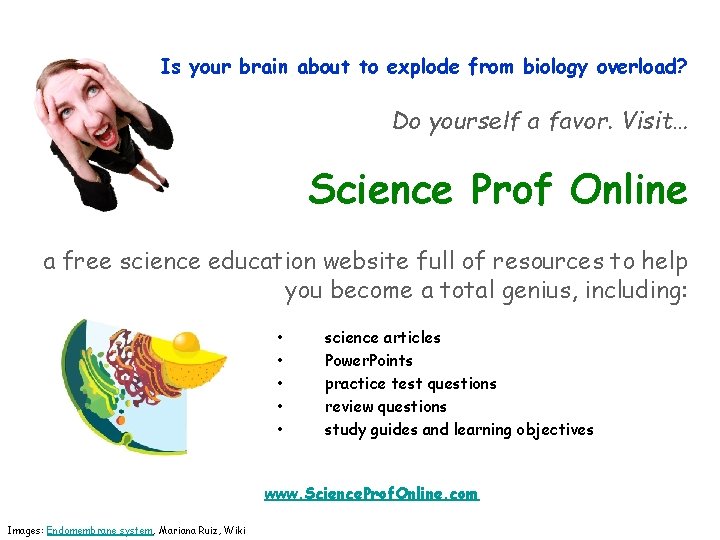 Is your brain about to explode from biology overload? Do yourself a favor. Visit…