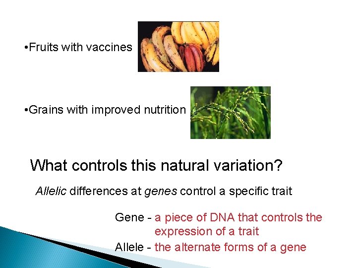  • Fruits with vaccines • Grains with improved nutrition What controls this natural