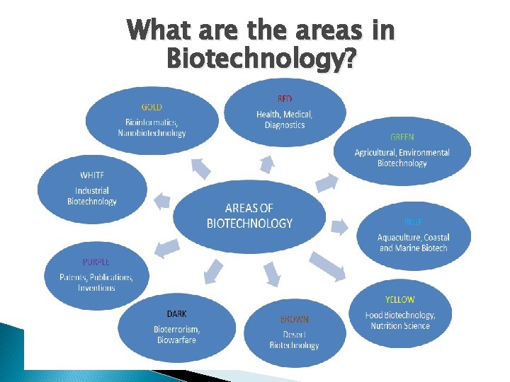 What are the areas in Biotechnology? 