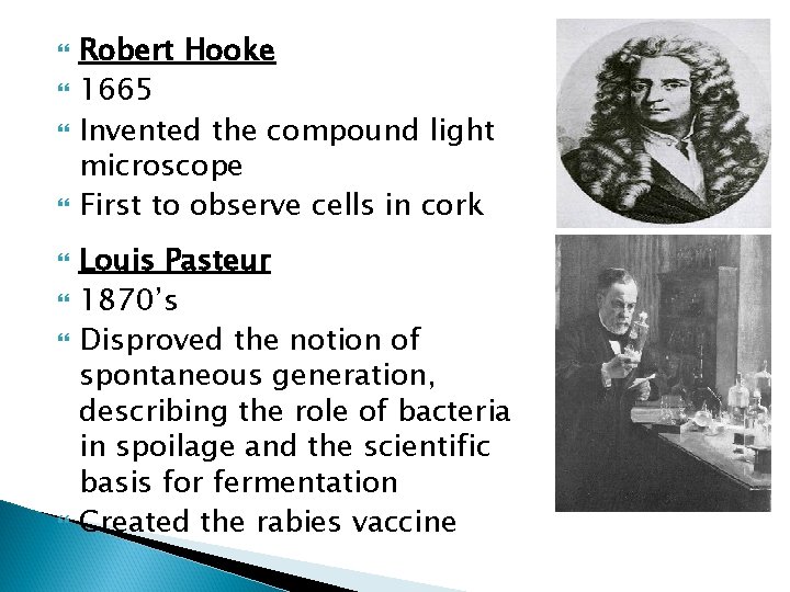  Robert Hooke 1665 Invented the compound light microscope First to observe cells in