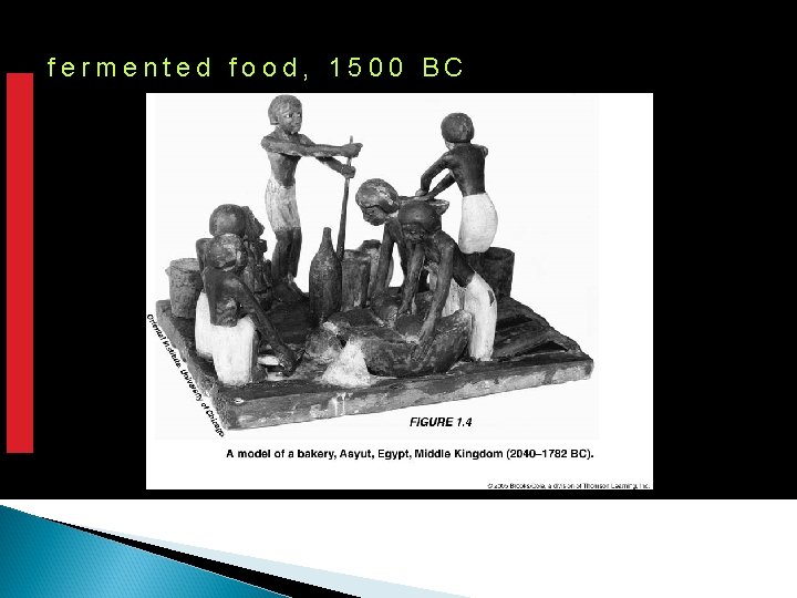 fermented food, 1500 BC 