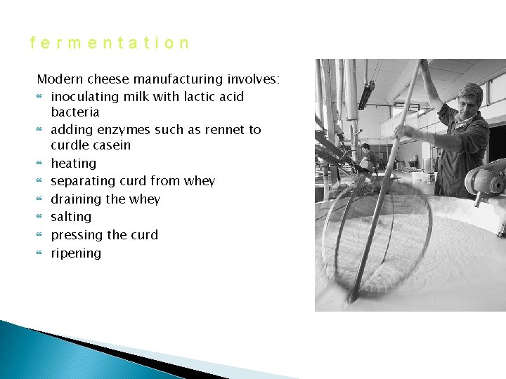 fermentation Modern cheese manufacturing involves: inoculating milk with lactic acid bacteria adding enzymes such