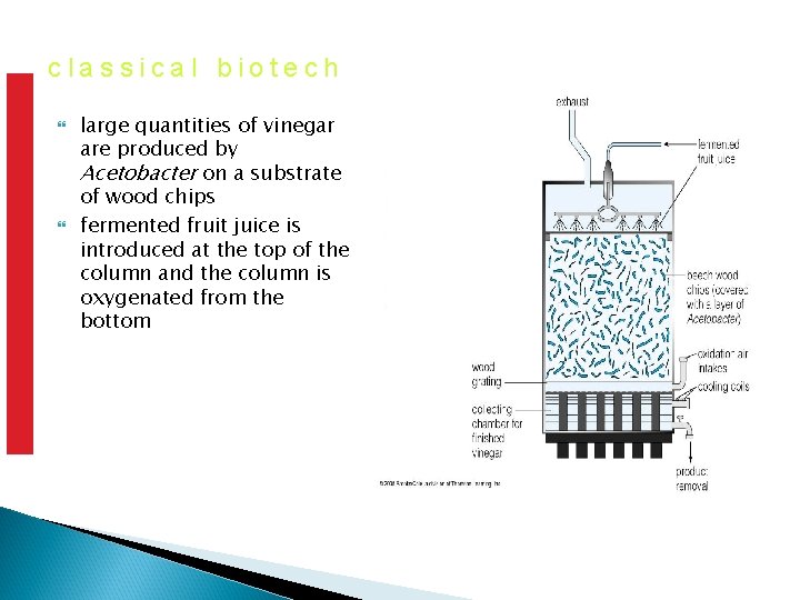 classical biotech large quantities of vinegar are produced by Acetobacter on a substrate of