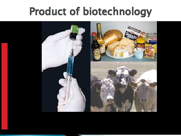 Product of biotechnology 