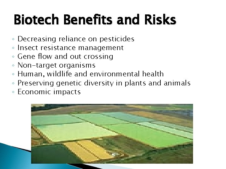 Biotech Benefits and Risks ◦ ◦ ◦ ◦ Decreasing reliance on pesticides Insect resistance