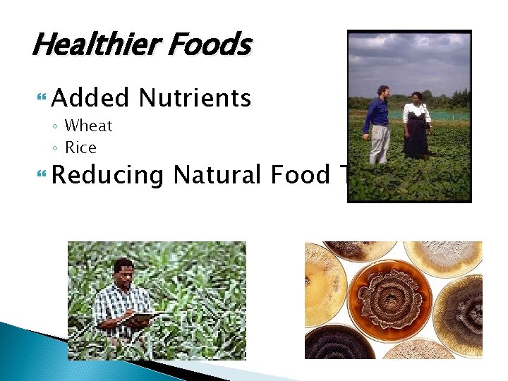 Healthier Foods Added ◦ Wheat ◦ Rice Nutrients Reducing Natural Food Toxins 