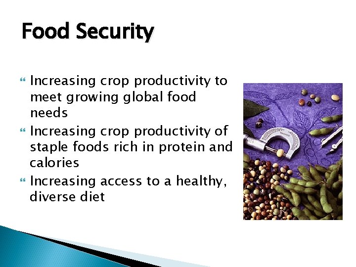 Food Security Increasing crop productivity to meet growing global food needs Increasing crop productivity