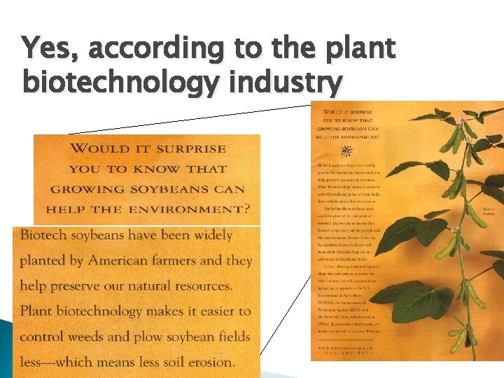 Yes, according to the plant biotechnology industry 