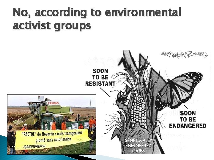 No, according to environmental activist groups 