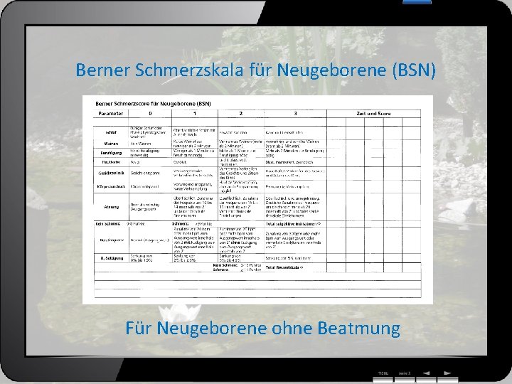 Berner Schmerzskala für Neugeborene (BSN) Für Neugeborene ohne Beatmung 