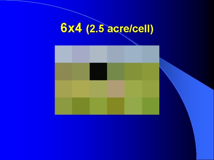 6 x 4 (2. 5 acre/cell) 