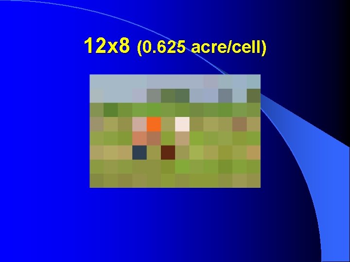 12 x 8 (0. 625 acre/cell) 