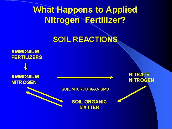 What Happens to Applied Nitrogen Fertilizer? SOIL REACTIONS AMMONIUM FERTILIZERS NITRATE NITROGEN AMMONIUM NITROGEN