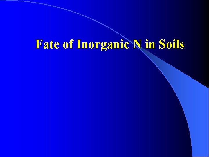 Fate of Inorganic N in Soils 