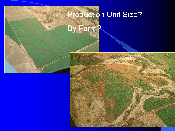 Production Unit Size? By Farm? 