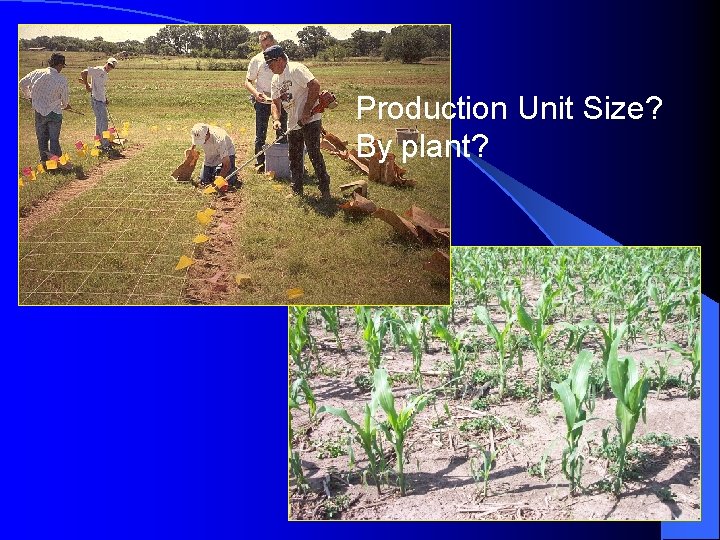Production Unit Size? By plant? 