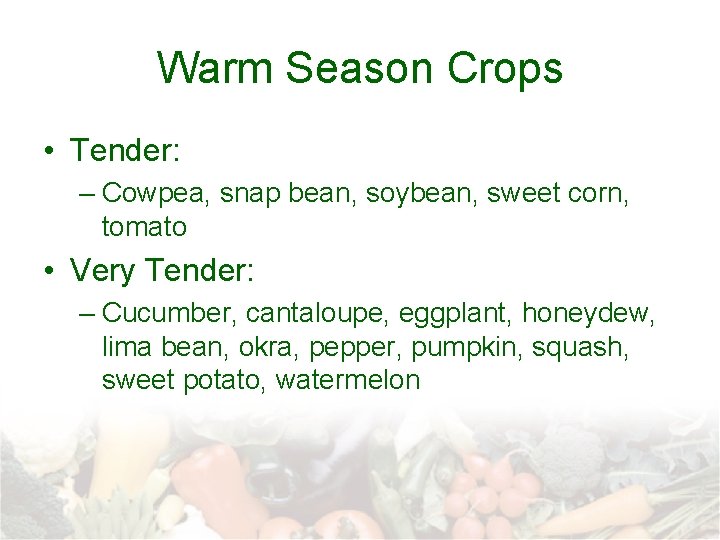 Warm Season Crops • Tender: – Cowpea, snap bean, soybean, sweet corn, tomato •