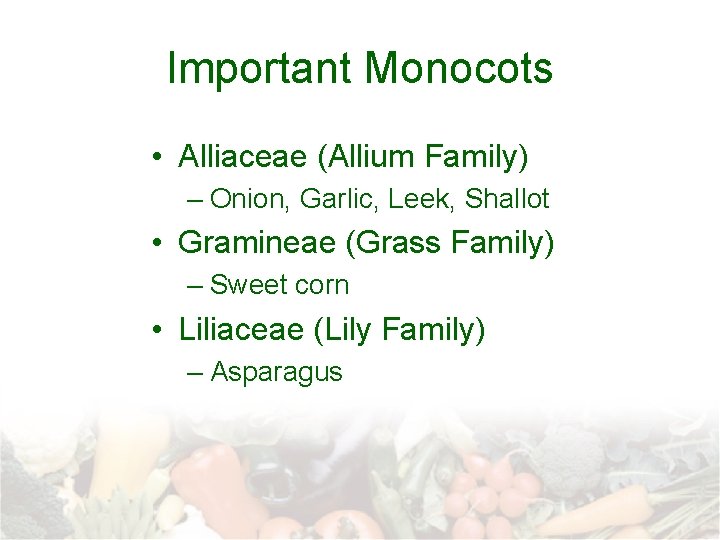 Important Monocots • Alliaceae (Allium Family) – Onion, Garlic, Leek, Shallot • Gramineae (Grass