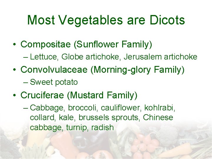 Most Vegetables are Dicots • Compositae (Sunflower Family) – Lettuce, Globe artichoke, Jerusalem artichoke