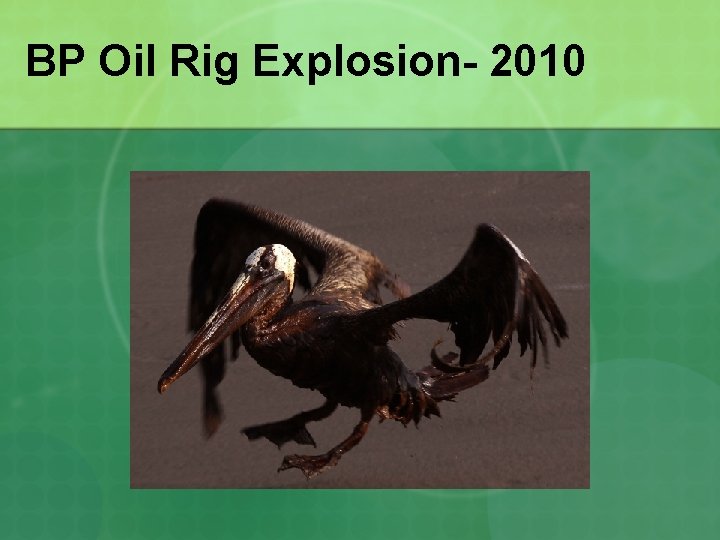 BP Oil Rig Explosion- 2010 