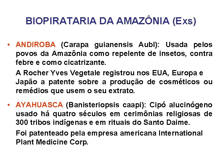 BIOPIRATARIA DA AMAZÔNIA (Exs) • ANDIROBA (Carapa guianensis Aubl): Usada pelos povos da Amazônia
