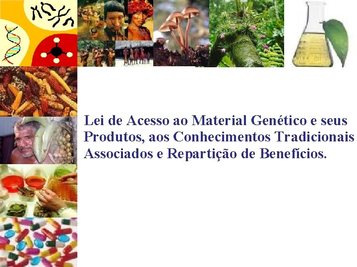 Lei de Acesso ao Material Genético e seus Produtos, aos Conhecimentos Tradicionais Associados e