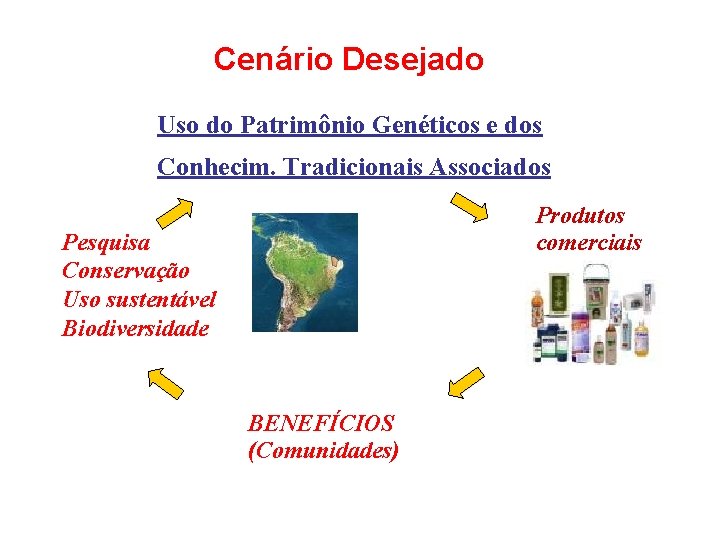 Cenário Desejado Uso do Patrimônio Genéticos e dos Conhecim. Tradicionais Associados Produtos comerciais Pesquisa