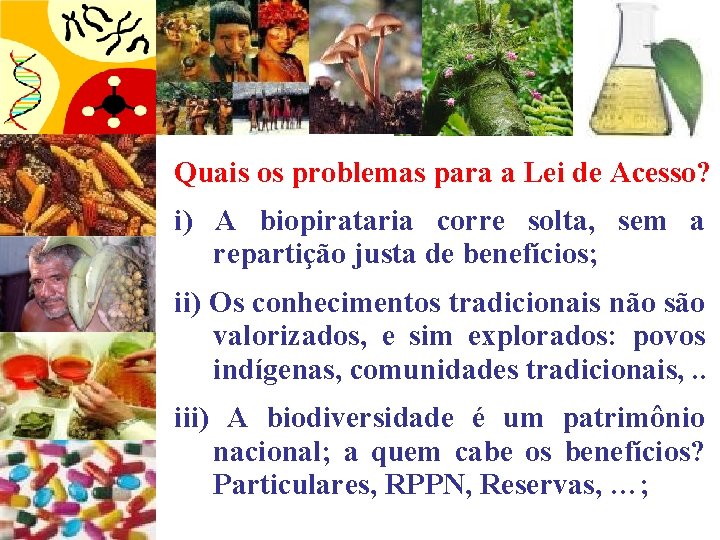 Quais os problemas para a Lei de Acesso? i) A biopirataria corre solta, sem