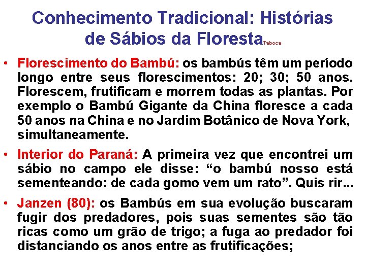 Conhecimento Tradicional: Histórias de Sábios da Floresta Taboca • Florescimento do Bambú: os bambús