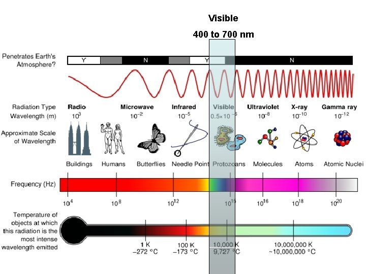 Visible 400 to 700 nm 