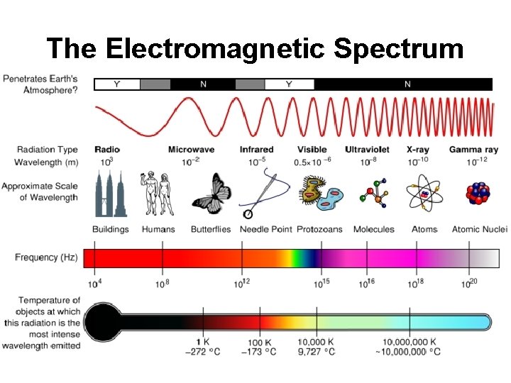 The Electromagnetic Spectrum 