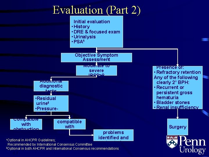 Evaluation (Part 2) Initial evaluation • History • DRE & focused exam • Urinalysis