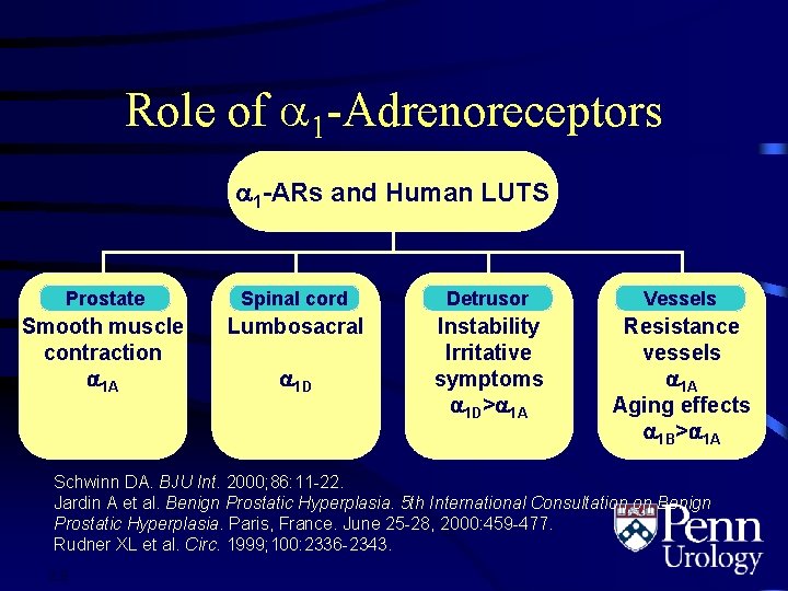 Role of 1 -Adrenoreceptors 1 -ARs and Human LUTS Prostate Spinal cord Detrusor Vessels