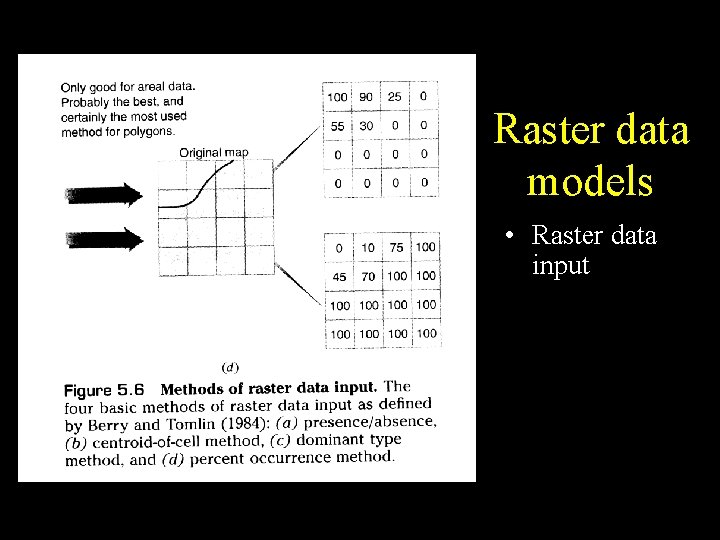Raster data models • Raster data input Raster data models • Raster data input