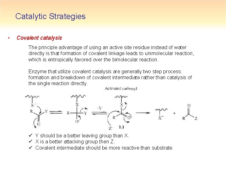 Catalytic Strategies • Covalent catalysis The principle advantage of using an active site residue
