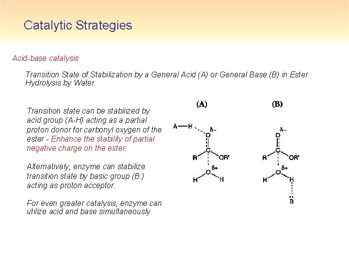 Catalytic Strategies Acid-base catalysis Transition State of Stabilization by a General Acid (A) or