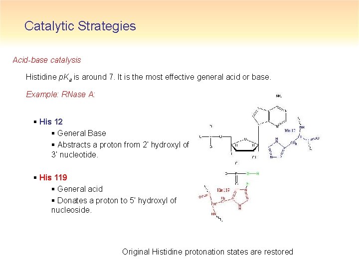 Catalytic Strategies Acid-base catalysis Histidine p. Ka is around 7. It is the most