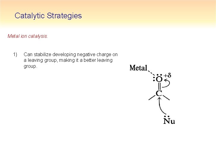 Catalytic Strategies Metal ion catalysis. 1) Can stabilize developing negative charge on a leaving