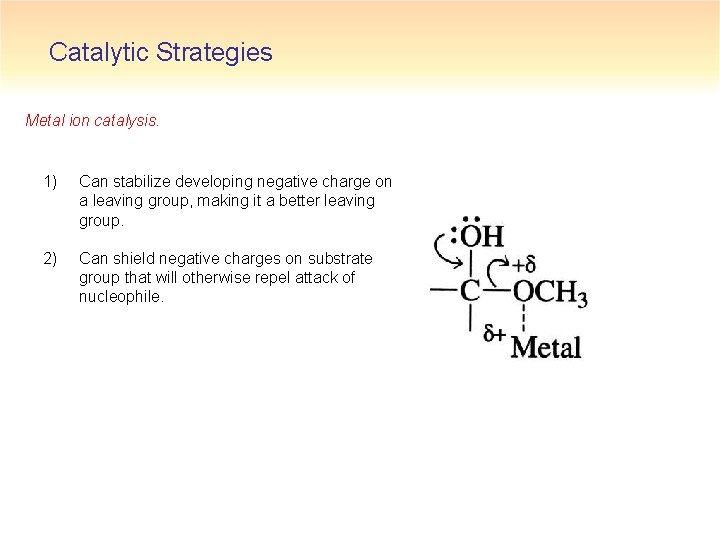 Catalytic Strategies Metal ion catalysis. 1) Can stabilize developing negative charge on a leaving